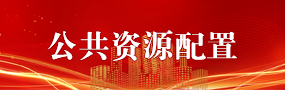 公共資源配置