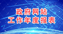 政府網(wǎng)站工作年度報(bào)表