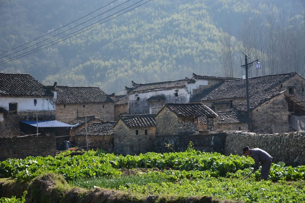 DSC_2088_看圖王.jpg