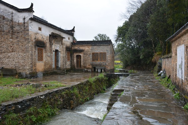 DSC_3404_看圖王.jpg