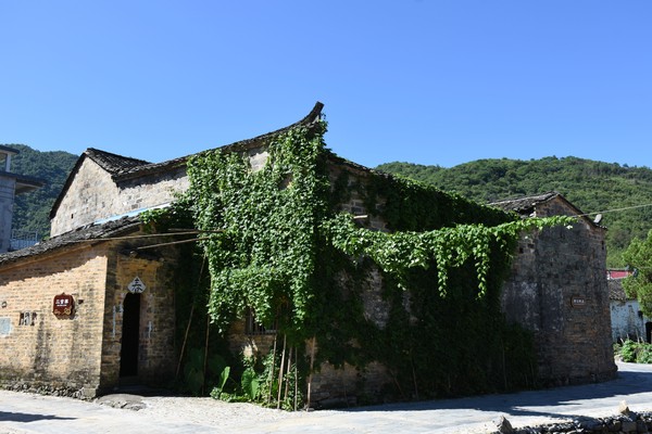 DSC_3906_看圖王.jpg